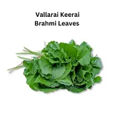 Fresh vallarai keerai Bundle  250g(Brahmi leaves)