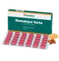Rumalaya Forte stawy i kości Himalaya 60 tabletek