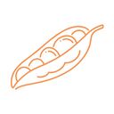 Beans & Lentils