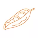 Dals ,Lentiles,Groats, Pods, Cereals