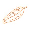 Dals ,Lentiles,Groats, Pods, Cereals