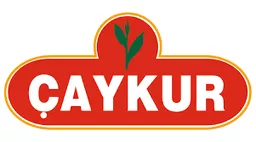 Caykur