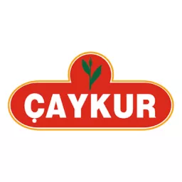 Caykur