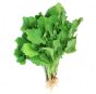 Liść gorczycy Mustard Leaf Rayo Ko Saag 1 pęczek