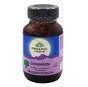 Cinnamon Healthy Carbohydrate Metabolism Organic India 60 capsules