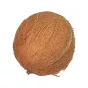 Fresh Coconut 1 piece - 2