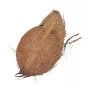 Fresh Coconut 1 piece - 3