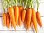Indian Carrot - 2