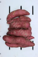 Słodkie Ziemniaki / Bataty 1kg