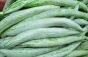 Snake Gourd (Padwal, Chichinga)- 1kg  - 2
