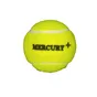 Piłka tenisowa do krykieta Tennis Balls Mercury+ 1 sztuka