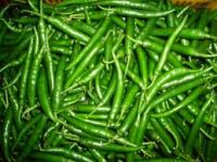 Zielone papryczka Chilli Green 500g