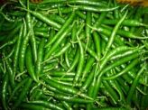 Zielone papryczka Chilli Green 500g