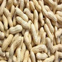 Peanuts Freash 500g