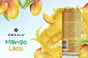 Nápoj Alphonso Mango Lassi Gwaala 240ml - 3