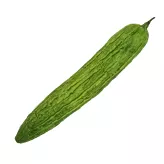 Górski melon Karela Bitter Melon Taj