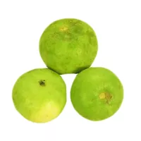 Indyjska dynia Tinda 500g