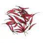 Świeże czerwone papryczki chilli Fresh Red Chilli Eco Premium 500g - 2
