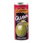 Guava Juice Nectar Philippine Brand 250ml - 2