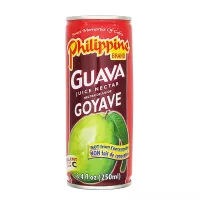 Guava Juice Nectar Philippine Brand 250ml