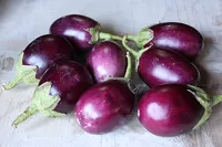Indyjski bakłażan Brinjal Eggplant Baingan