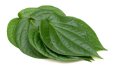 Betel Leaf (Only by Order) 250 gr