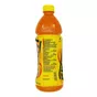 Napój o smaku mango Mango Drink Frooti 600ml - 2