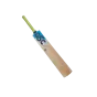 Kij do krykieta Cricket Bat DSC 86cm