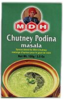 Przyprawa do Sosu Miętowego Chutney Podina Masala MDH 100g