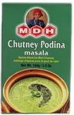 Chutney Podina Masala 100G MDH