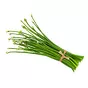 Peyajkoli Or Onion Flower - 2