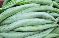 Snake Gourd (Padwal, Chichinga)-500g 