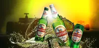 Kingfisher 4,8% (12 x 660 ml)