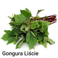 Liście Gongura Roselle Leaves pęczek