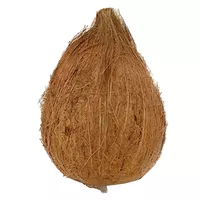 main