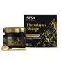 Suplement diety Ayurvedic Himalayan Shilajit Resin Sesa 20g - 3