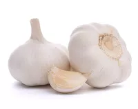 Czosnek świeży Fresh Garlic 500g