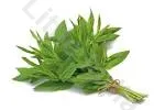 Mint leaves (10 bunch)