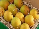 Pakistan Mango (pack of 3or4) Honey