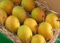 Pakistan mango (pack of 3-4) Honey