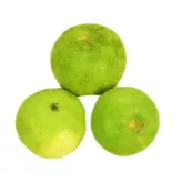 Indyjska dynia Tinda 250g