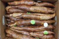 Cassava Yuca 250g