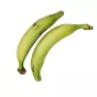 Świeże zielone plantany Fresh Green Plantains Eco Premium 500g - 3