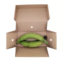 Świeże zielone plantany Fresh Green Plantains Eco Premium 500g