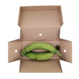 Świeże zielone plantany Fresh Green Plantains Eco Premium 500g