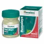 Preparat ziołowy balsam przeciwbólowy Rumalaya Pain Balm Strong Herbal Balm Himalaya 10 g - 2