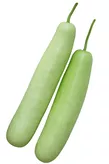 Bottle Gourd (Lauki) 500g