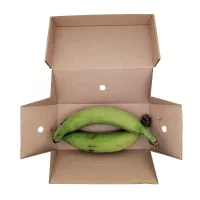 Green Plantains 1kg