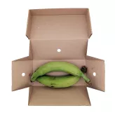 Świeże zielone plantany Fresh Green Plantains Eco Premium 1kg