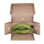 Świeże zielone plantany Fresh Green Plantains Eco Premium 1kg
